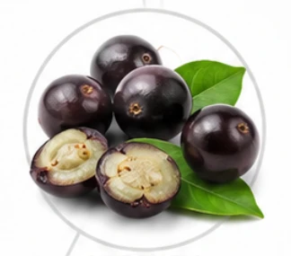 Primordial Vigor X Ingredient Myrciaria Jaboticaba