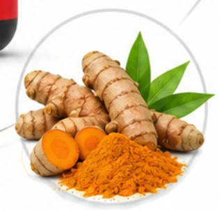 Primordial Vigor X Ingredient Turmeric Root Extract